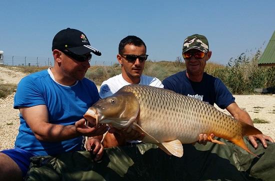 220V – The record breaker boilie